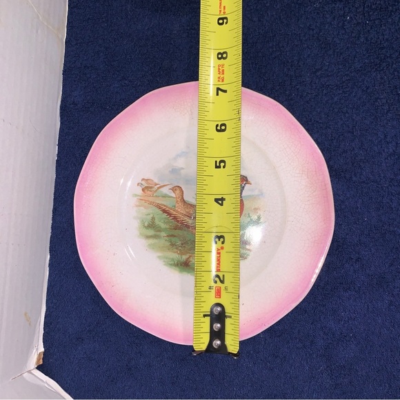 2 1920’s Antique Crescent China Co. Porcelain Bird Game Plates Pheasant Grouse - Picture 6 of 6